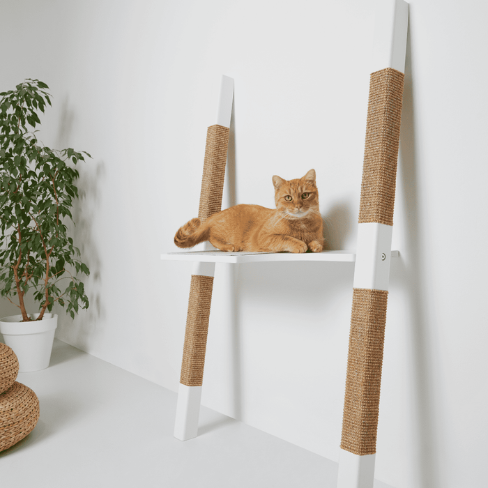 H1 Cat Scratching Tree by H-Tree Studio