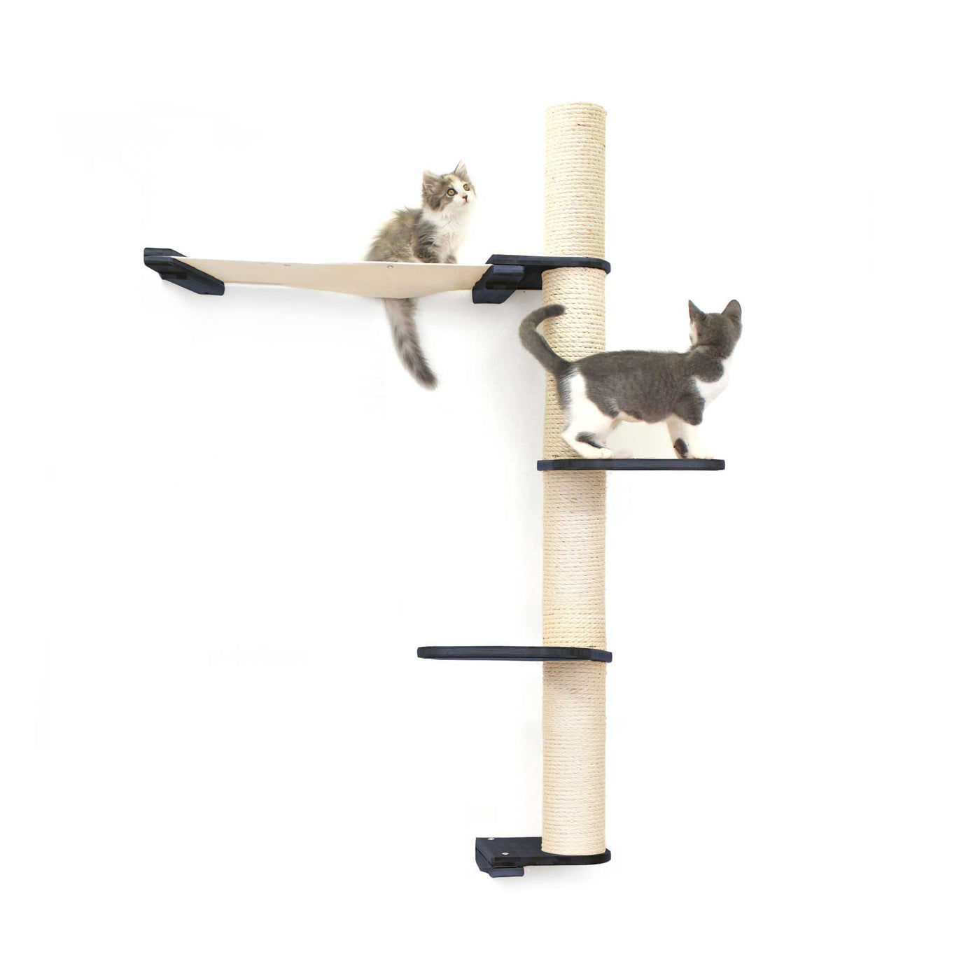 Tall wall mounted cat scratcher tree with a sisal pole installed high near the ceiling