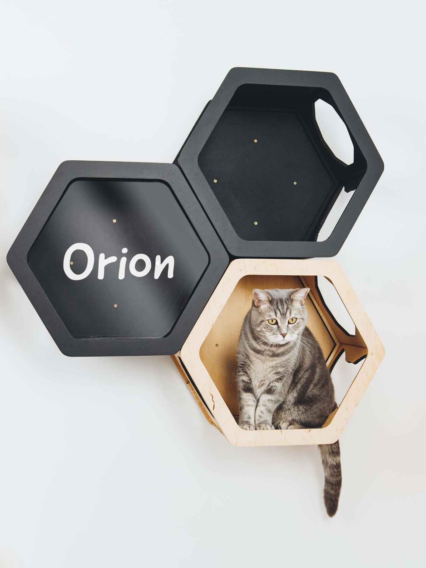 Light & Black Mixed Cat Set