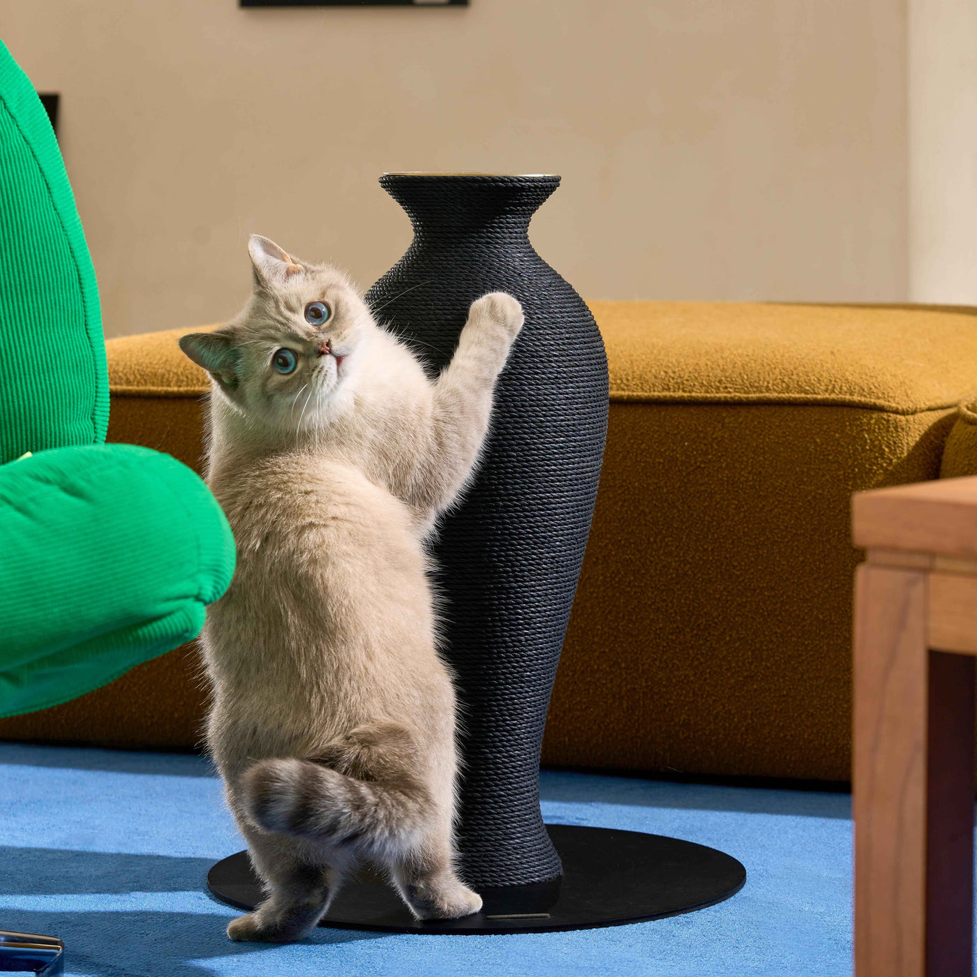 ArtistiCAT Vase Scratcher