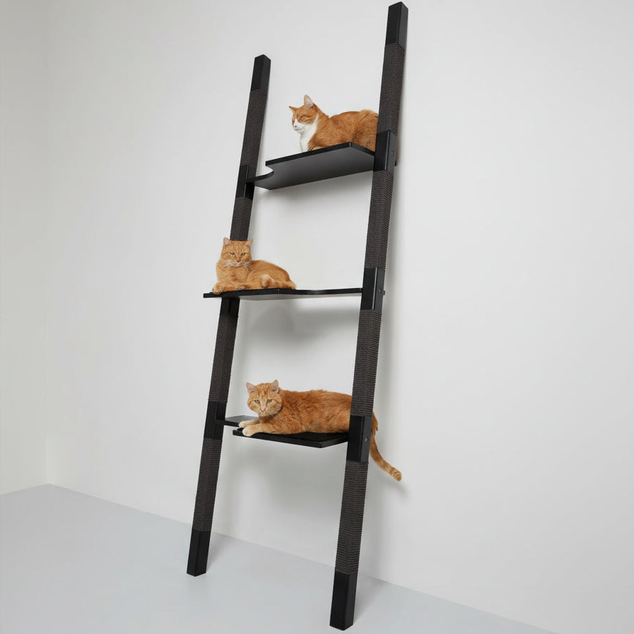 H3 Cat Scratching Tree by H-Tree Studio