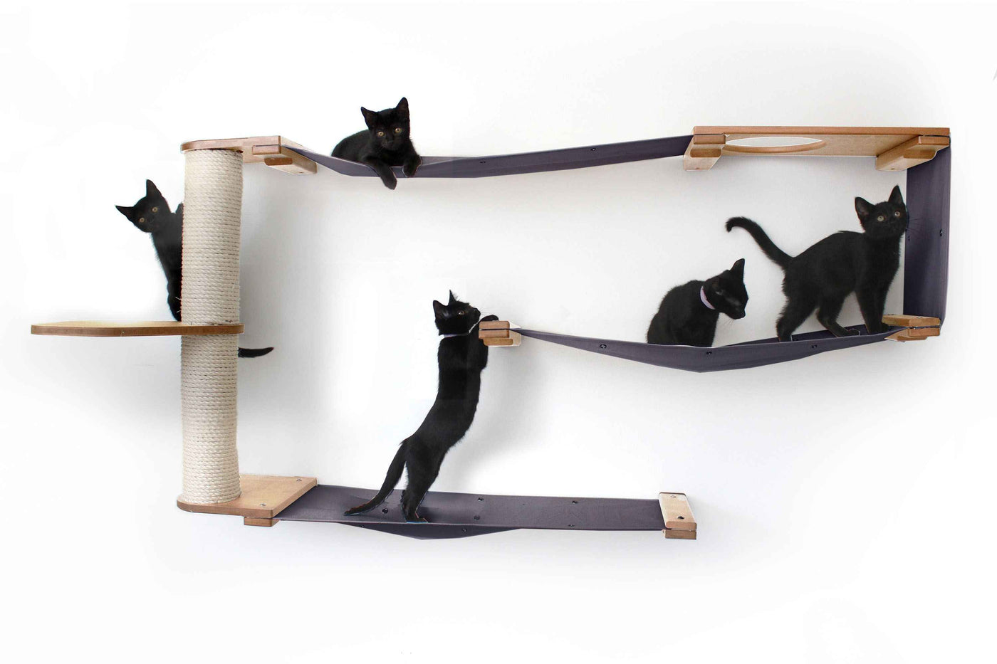 Cat Wall Maze
