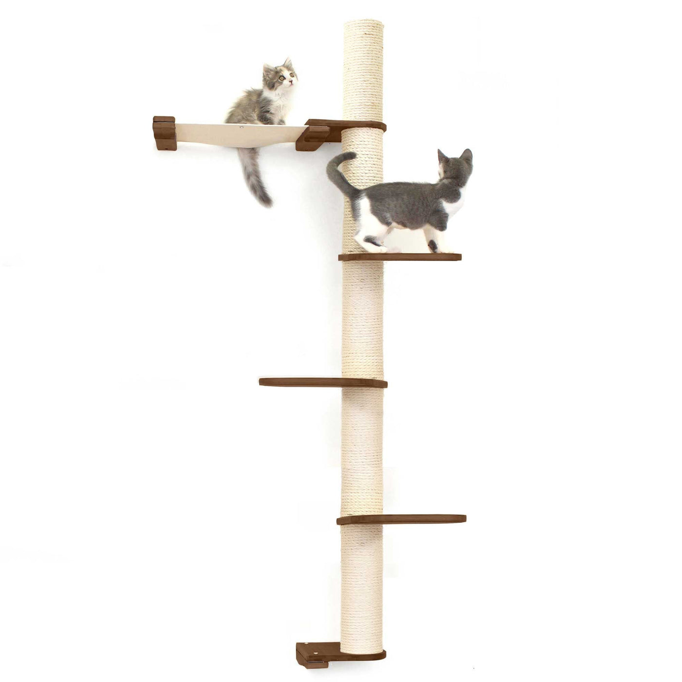 Tall wall mounted cat scratcher tree with a sisal pole installed high near the ceiling