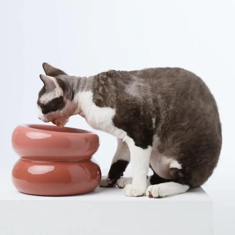 FurryTail Souffle Bowl elevated anti-tip cat feeding bowl (view 4)