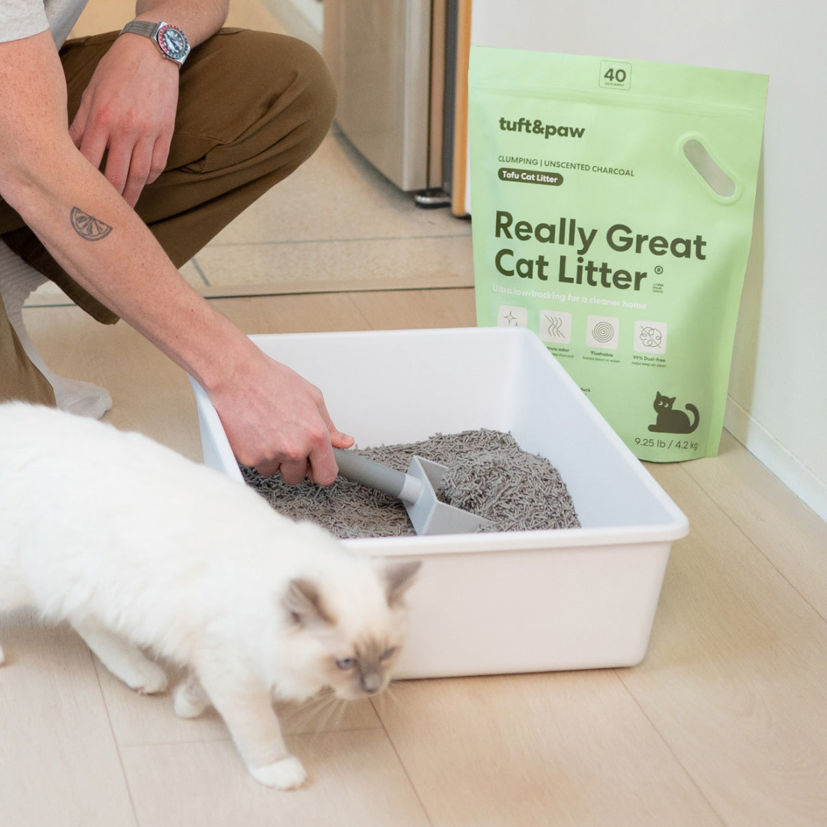 Really Great Cat Litter