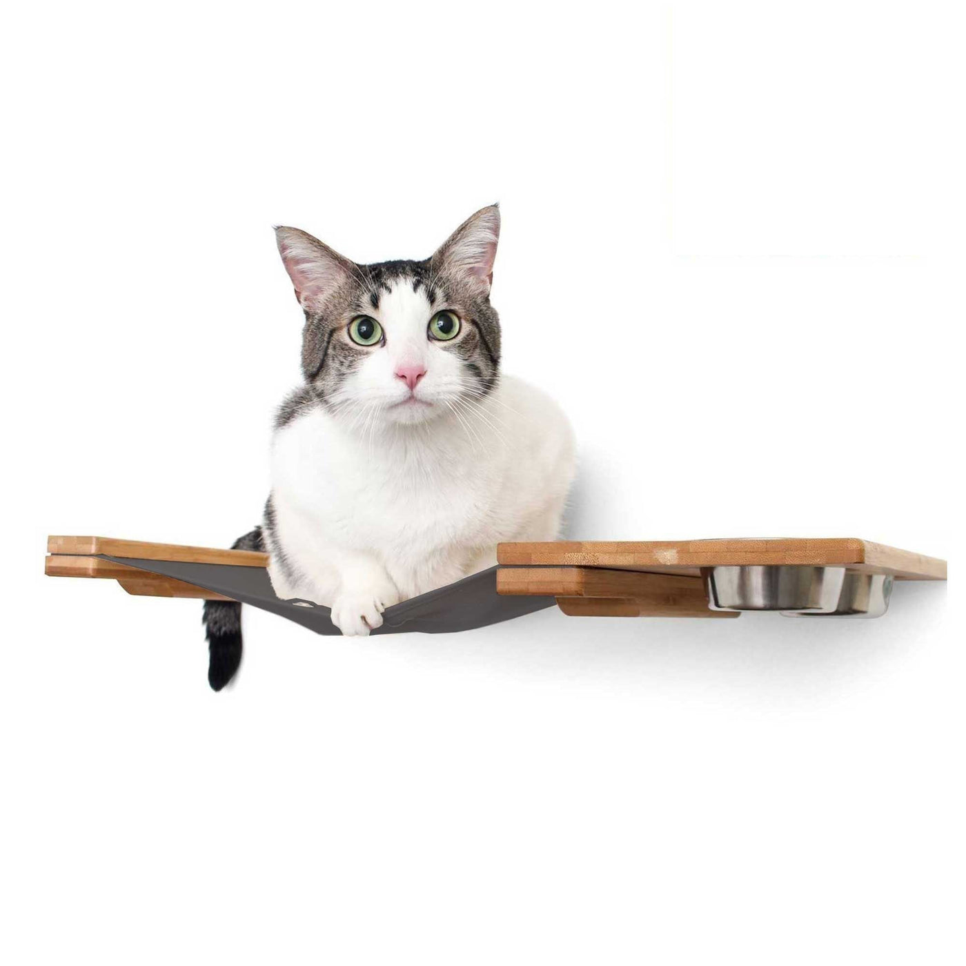 Wall mounted raised cat feeder with food dishes and an attached canvas lounge