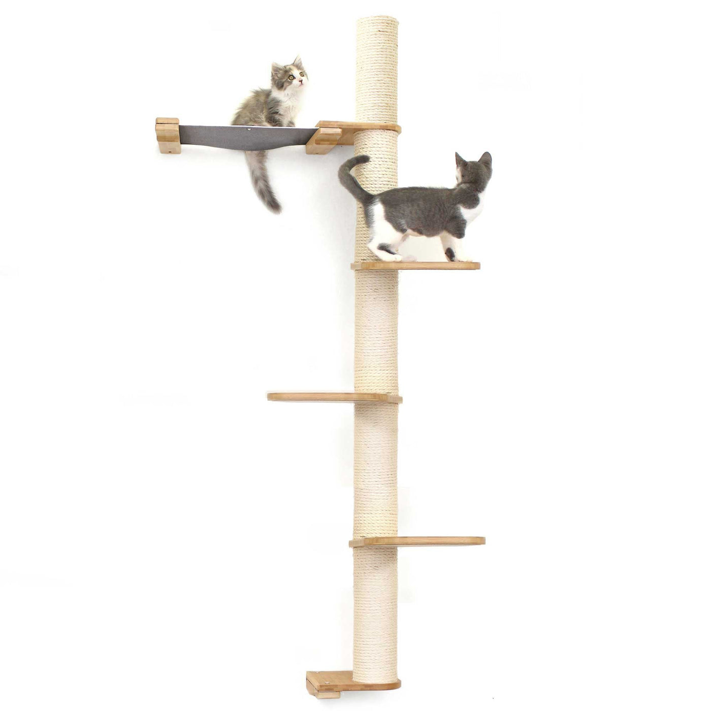 Tall wall mounted cat scratcher tree with a sisal pole installed high near the ceiling