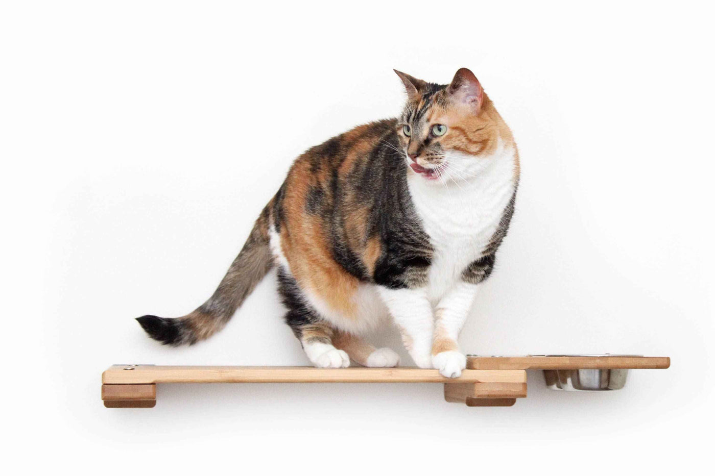 Wall-Mounted Cat Feeding Shelf