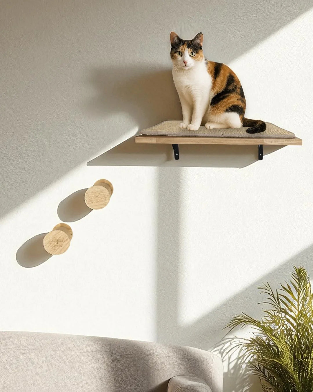 Coral Cat Climbing Shelf, view 7