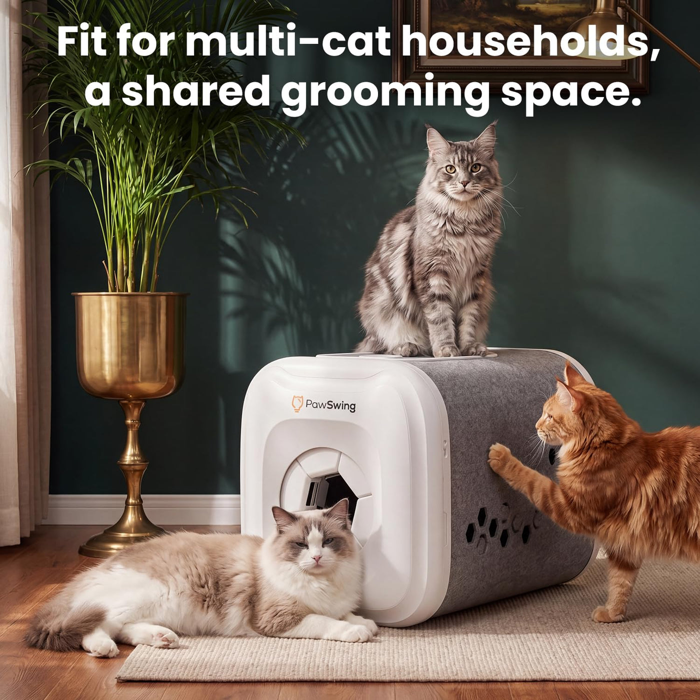 Cat self groomer box with 360 degree silicone brushes and a fur collection chamber