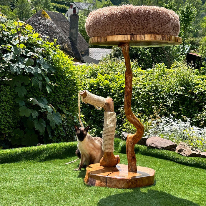 Oak Cat Tree and Scratcher, 4023