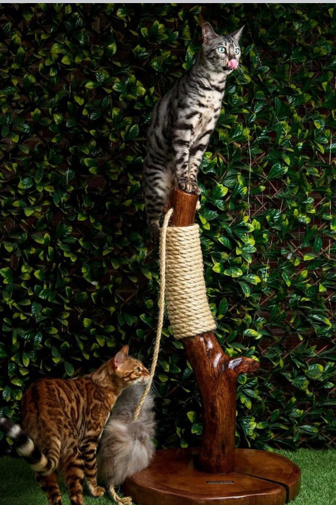 Made-to-Order Oak and Stone Cat Scratcher by Sophisticated Scratch, view 9