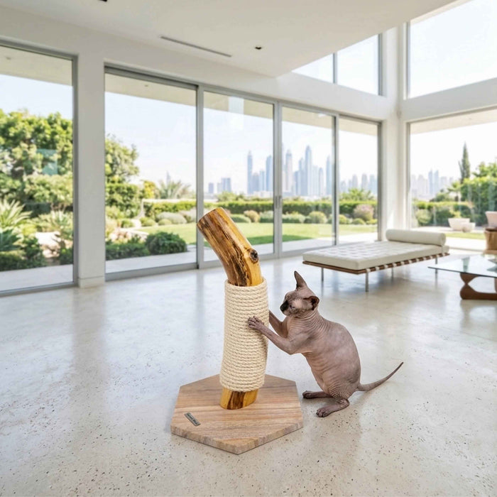 Oak and Sandstone Cat Scratcher