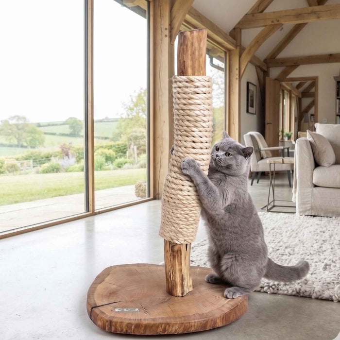 Oak Cat Scratcher with Resin Inlay