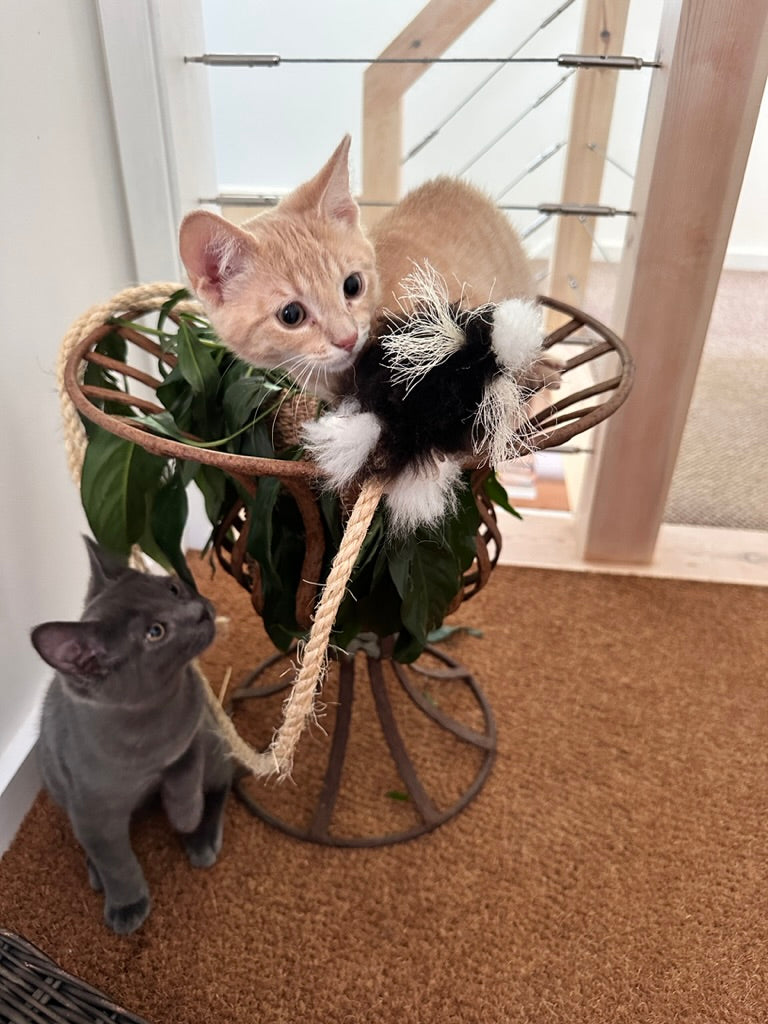 Rodney Rat and Fluff Ball Cat Toys by Sophisticated Scratch, view 3