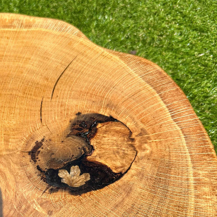 Oak Leaf Cat Scratcher