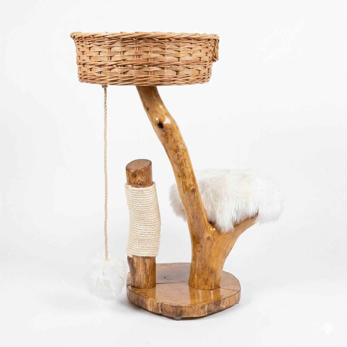 The Willow Nook Oak Cat Tree