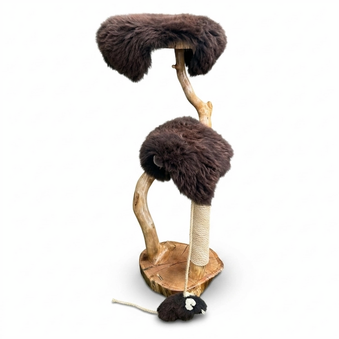 Solid Devon Oak Cat Tree, T2826