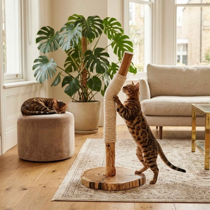 Tall Oak Natural Limb Cat Scratcher