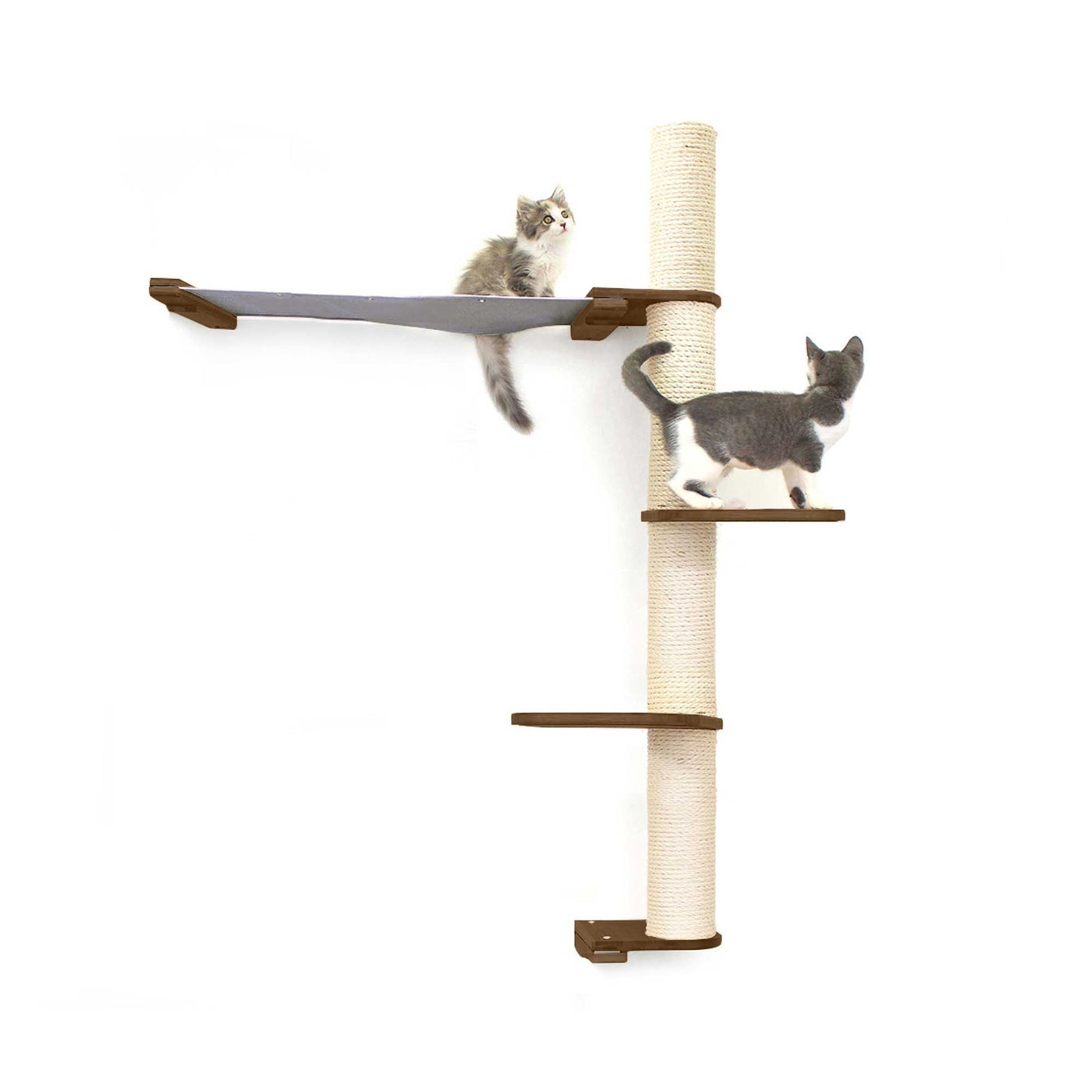 Tall wall mounted cat scratcher tree with a sisal pole installed high near the ceiling