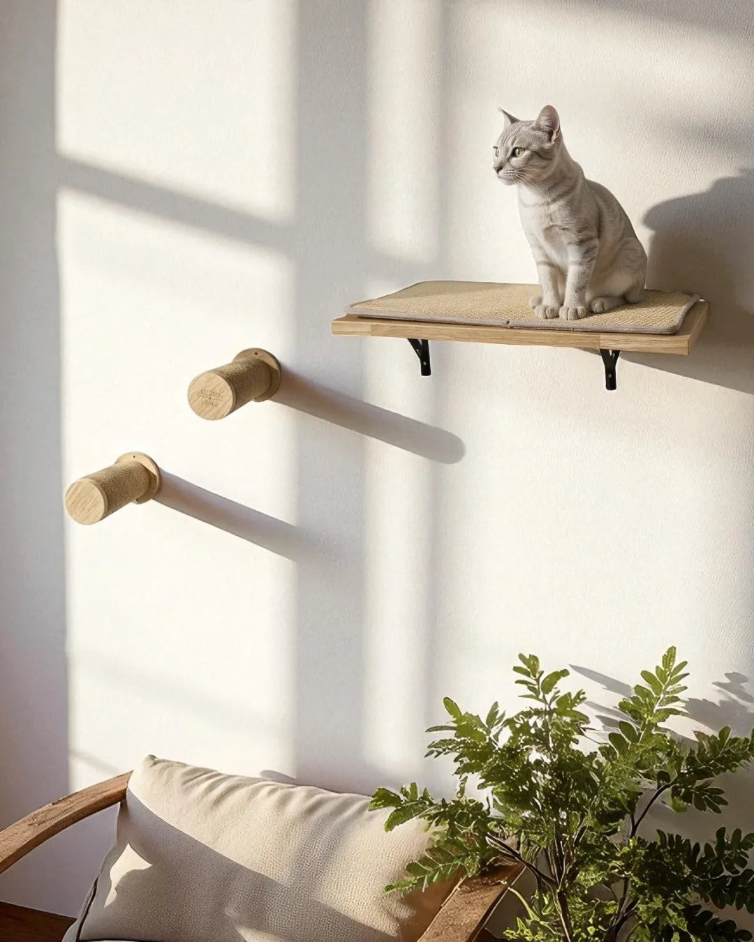Coral Cat Climbing Shelf, view 8