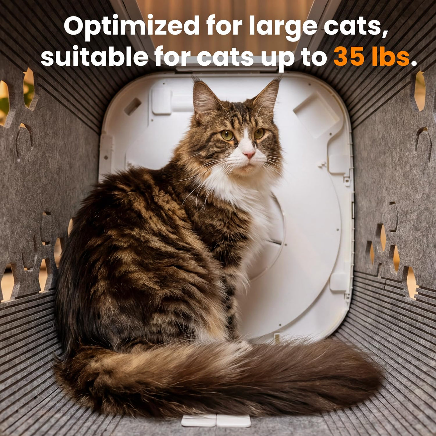 Cat self groomer box with 360 degree silicone brushes and a fur collection chamber