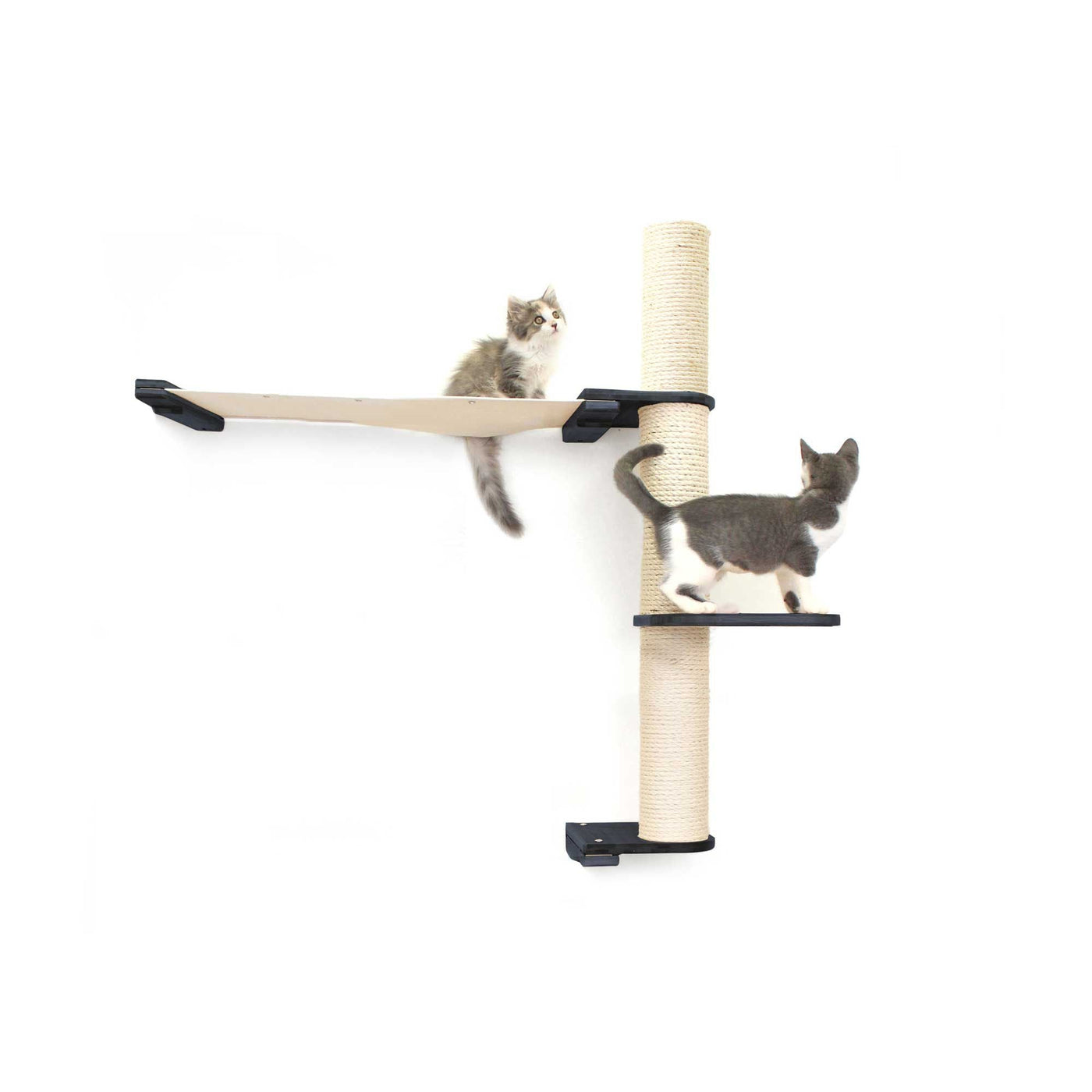 Tall wall mounted cat scratcher tree with a sisal pole installed high near the ceiling