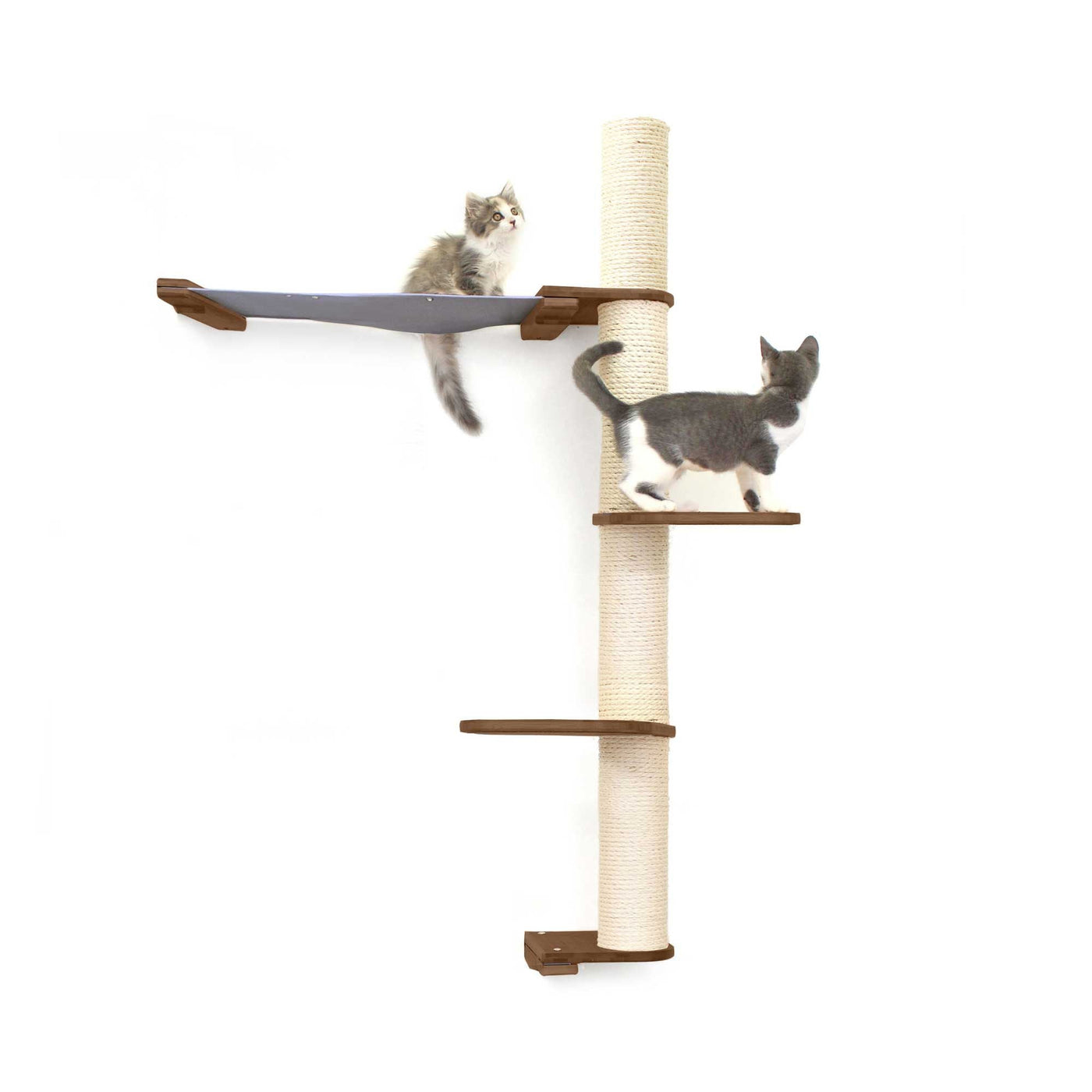Tall wall mounted cat scratcher tree with a sisal pole installed high near the ceiling