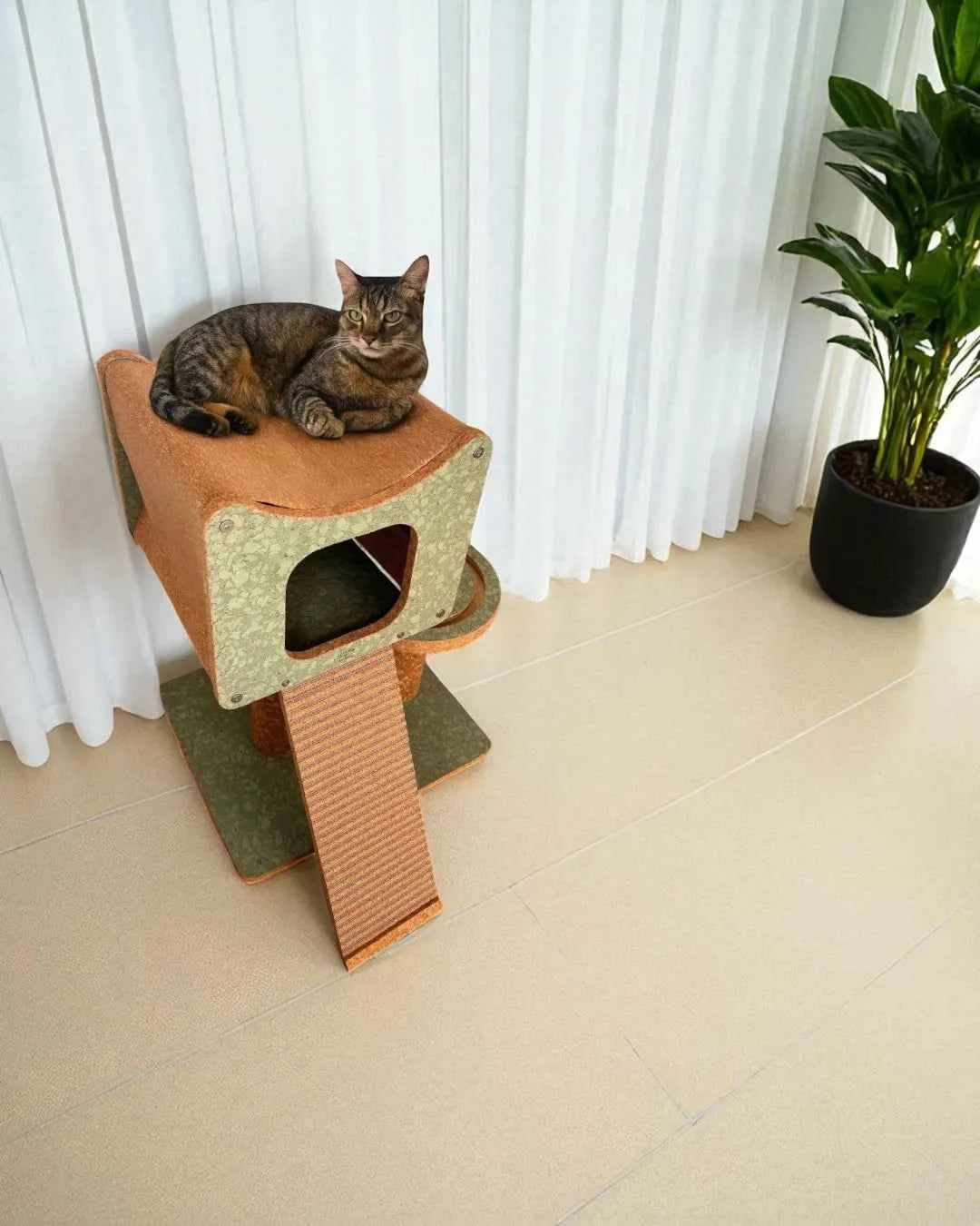 Faro Cork Cat Climbing Structure