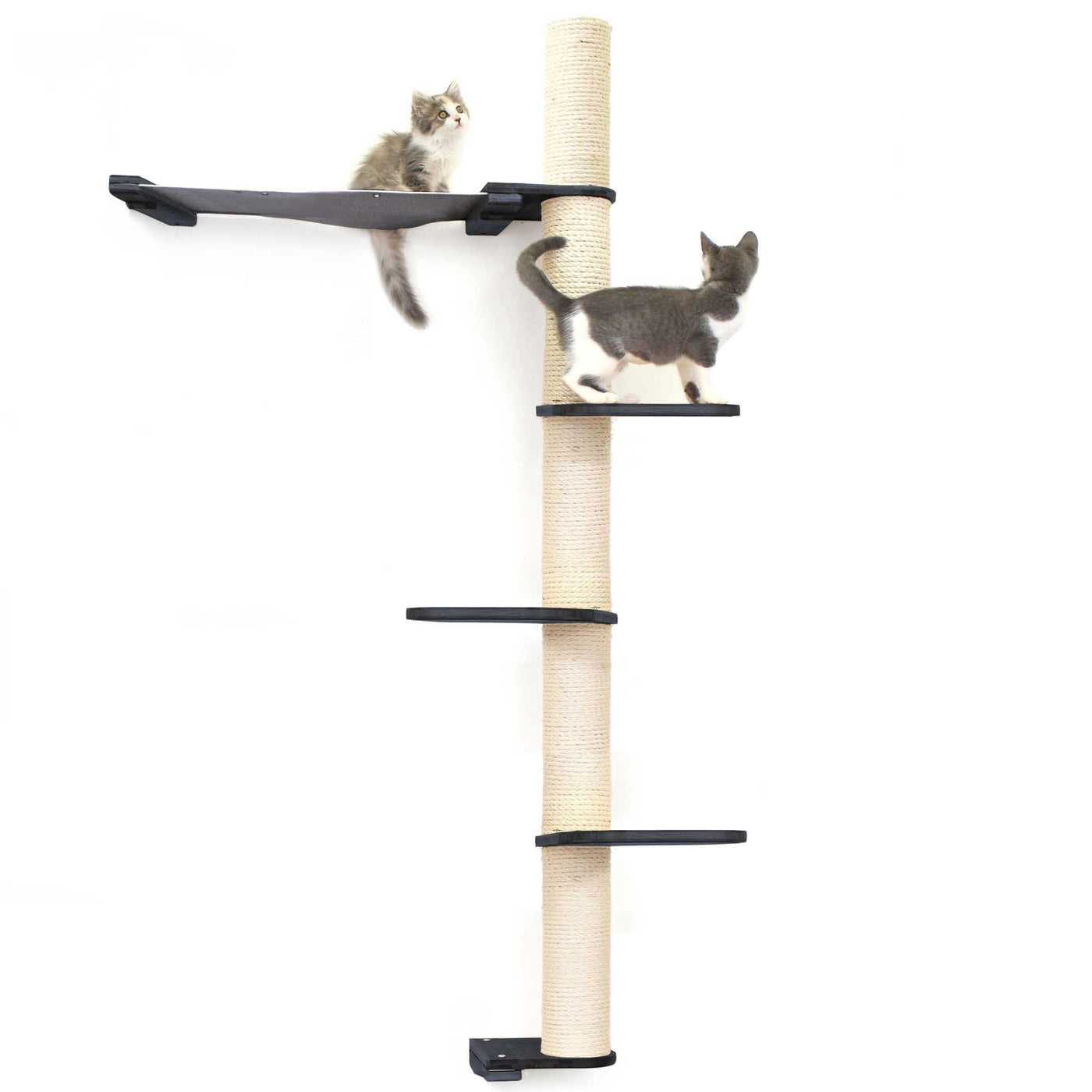 Tall wall mounted cat scratcher tree with a sisal pole installed high near the ceiling