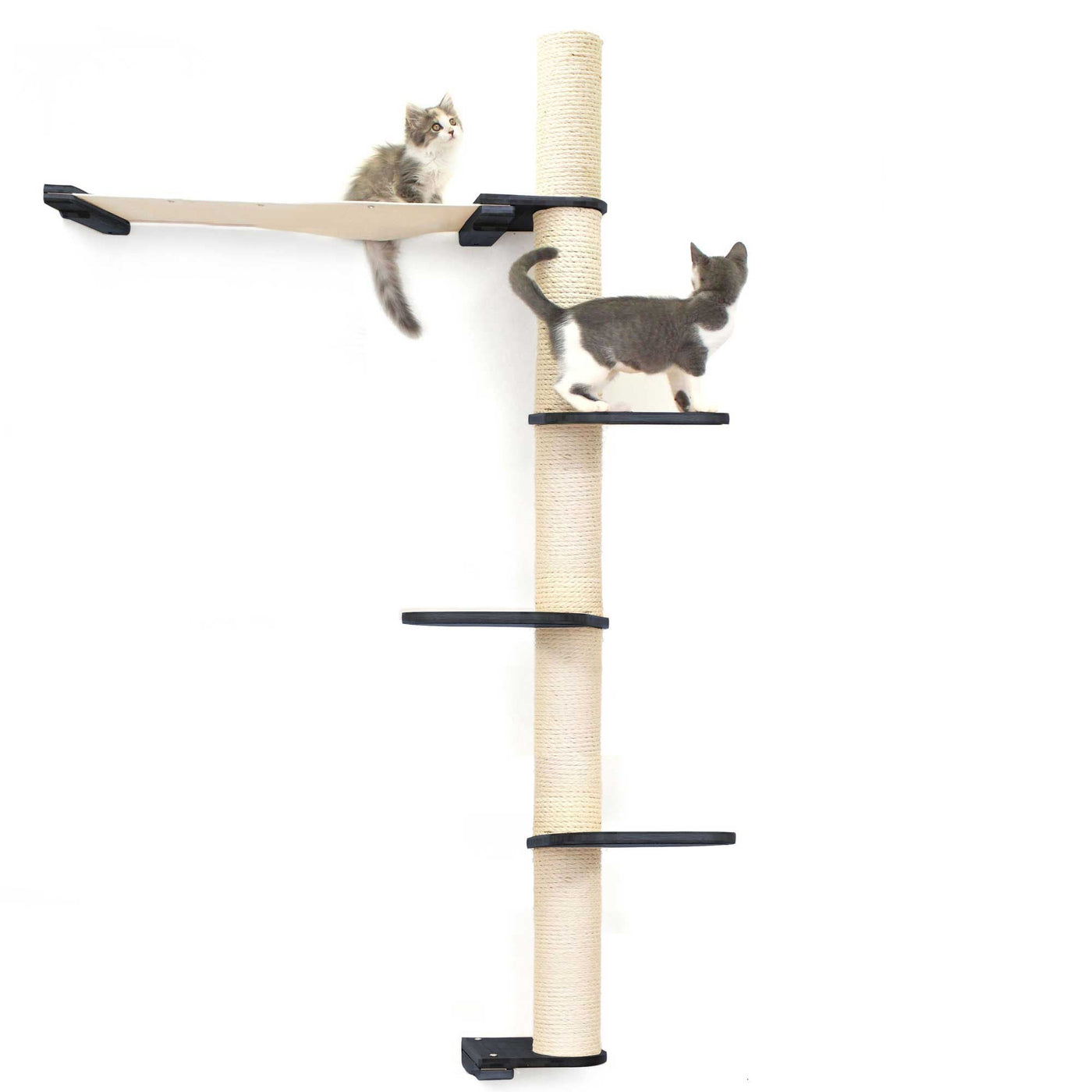 Tall wall mounted cat scratcher tree with a sisal pole installed high near the ceiling