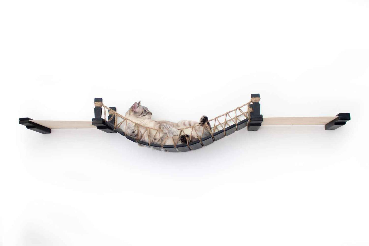 Double Cat Hammock and Climbing Bridge Combo