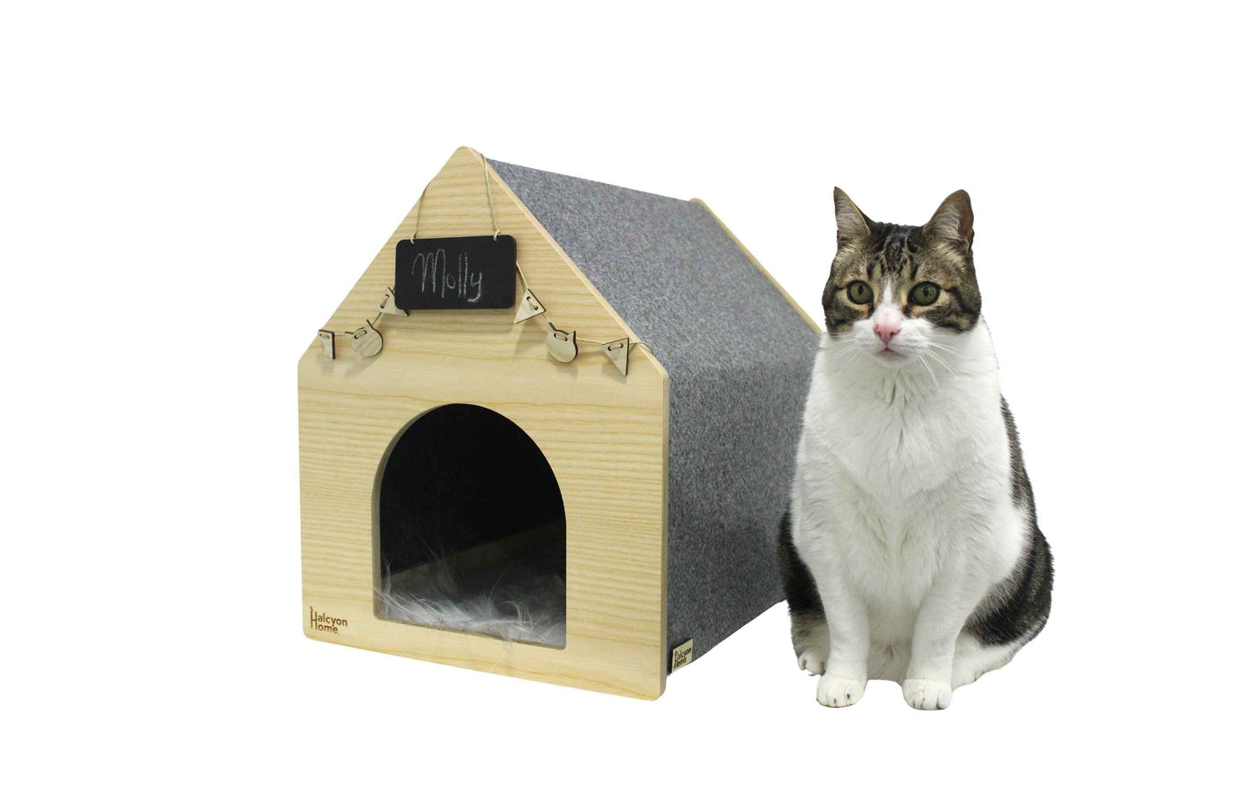 Apawtment Cat House
