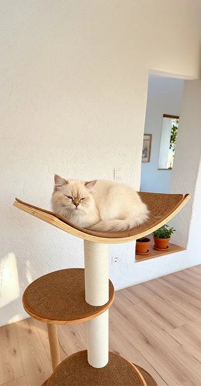 Gaviota Cat Scratching Tree, view 2