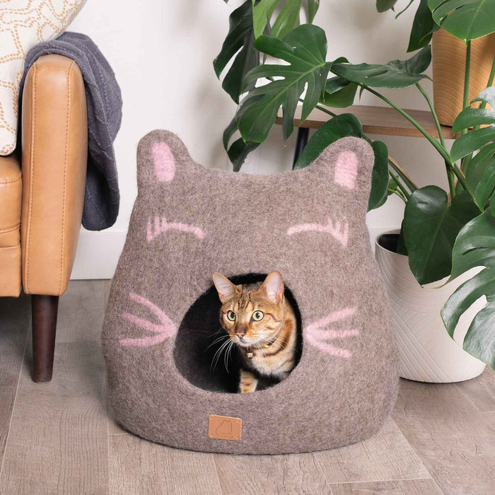 Girl Cat Cave, Ears