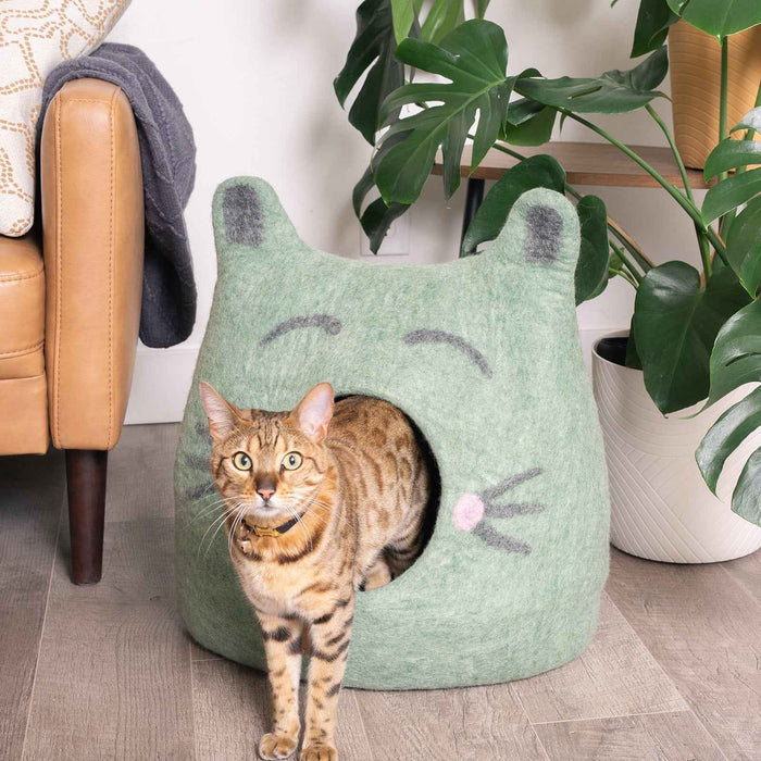 Cat Face Cave, Ears