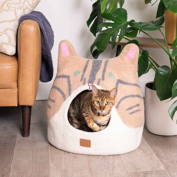 Bengal Cat Cave, Ears