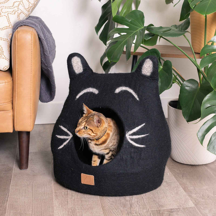 Boy Cat Cave, Ears