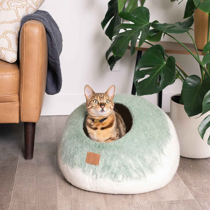 Burst Cat Cave, Round