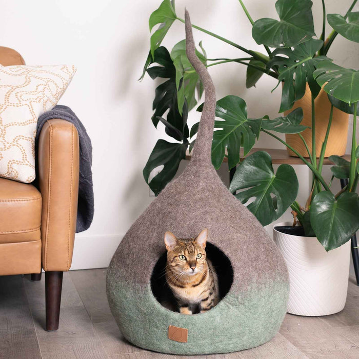 Fade Cat Cave, Tail
