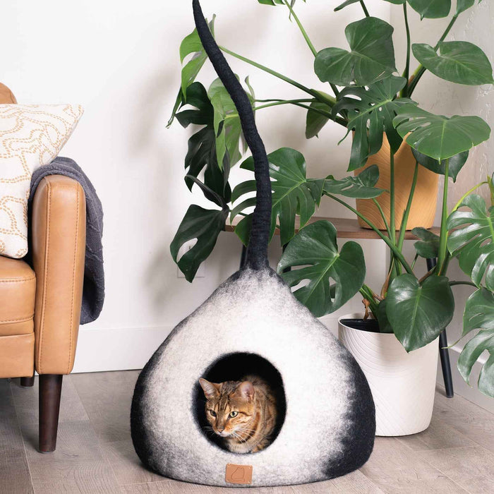 Burst Cat Cave, Tail