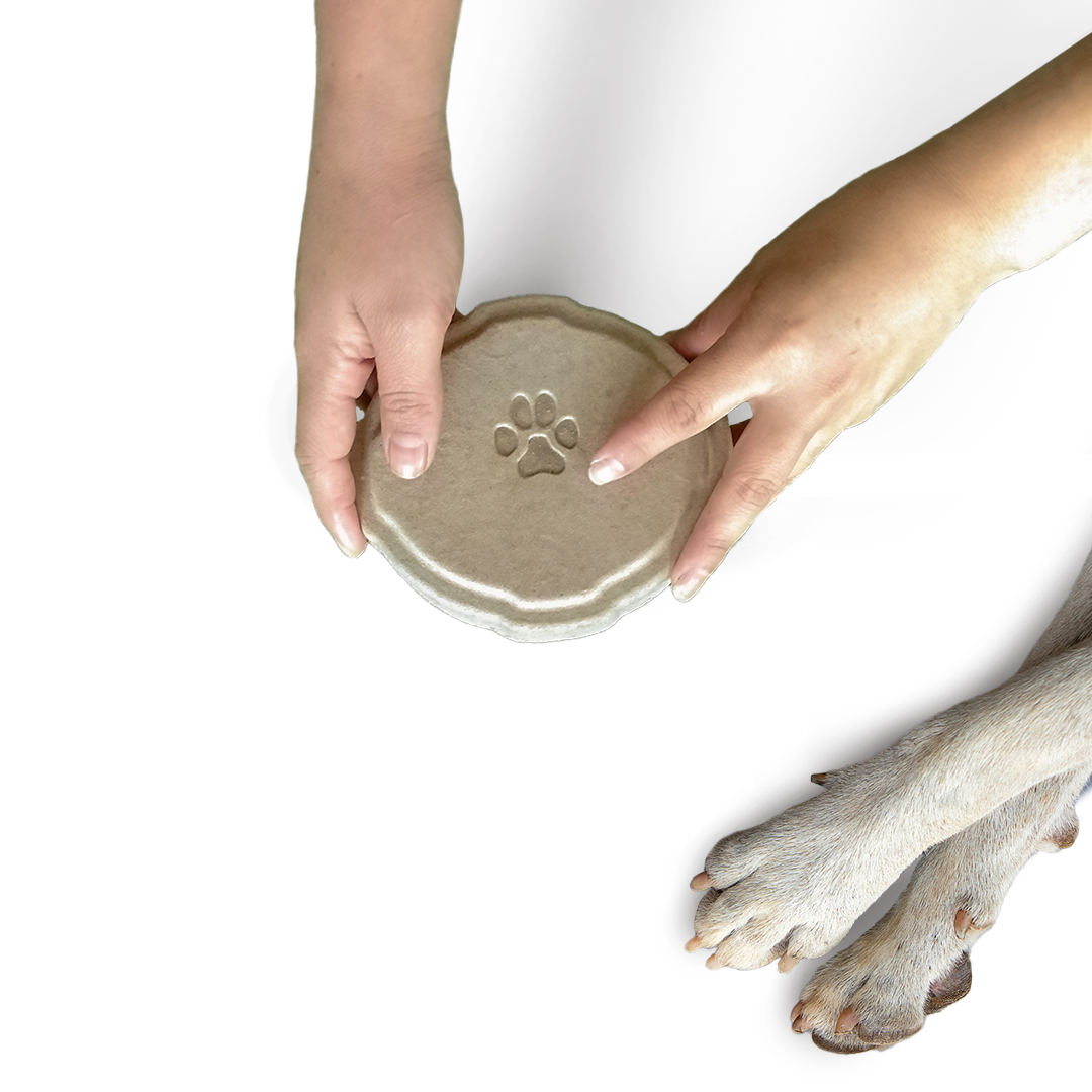 Plantable Cat Memorial Urn by Designer Pet, view 2
