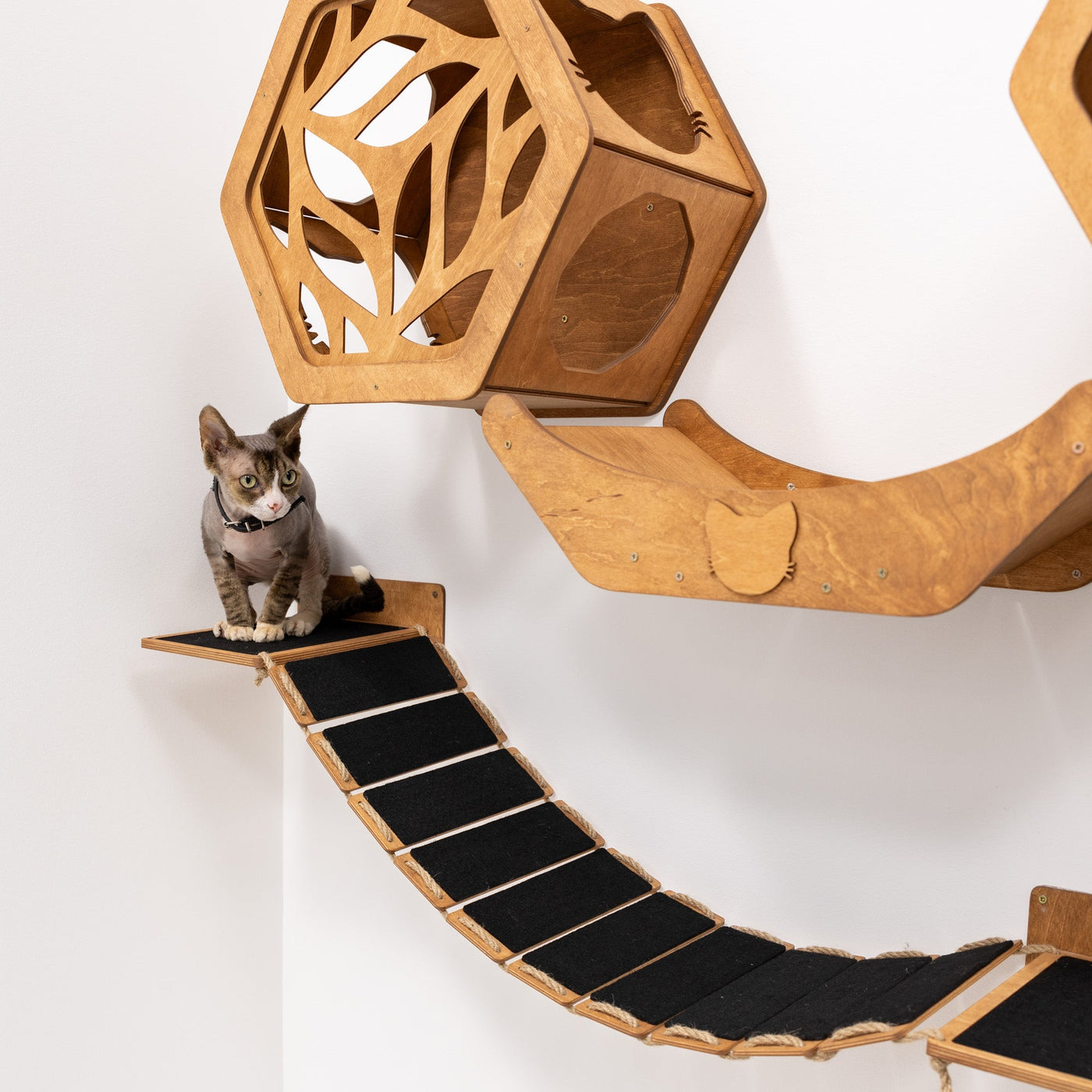 Wall Hexagon Cat House Set 2 Felt +bridge + Basket for Cats