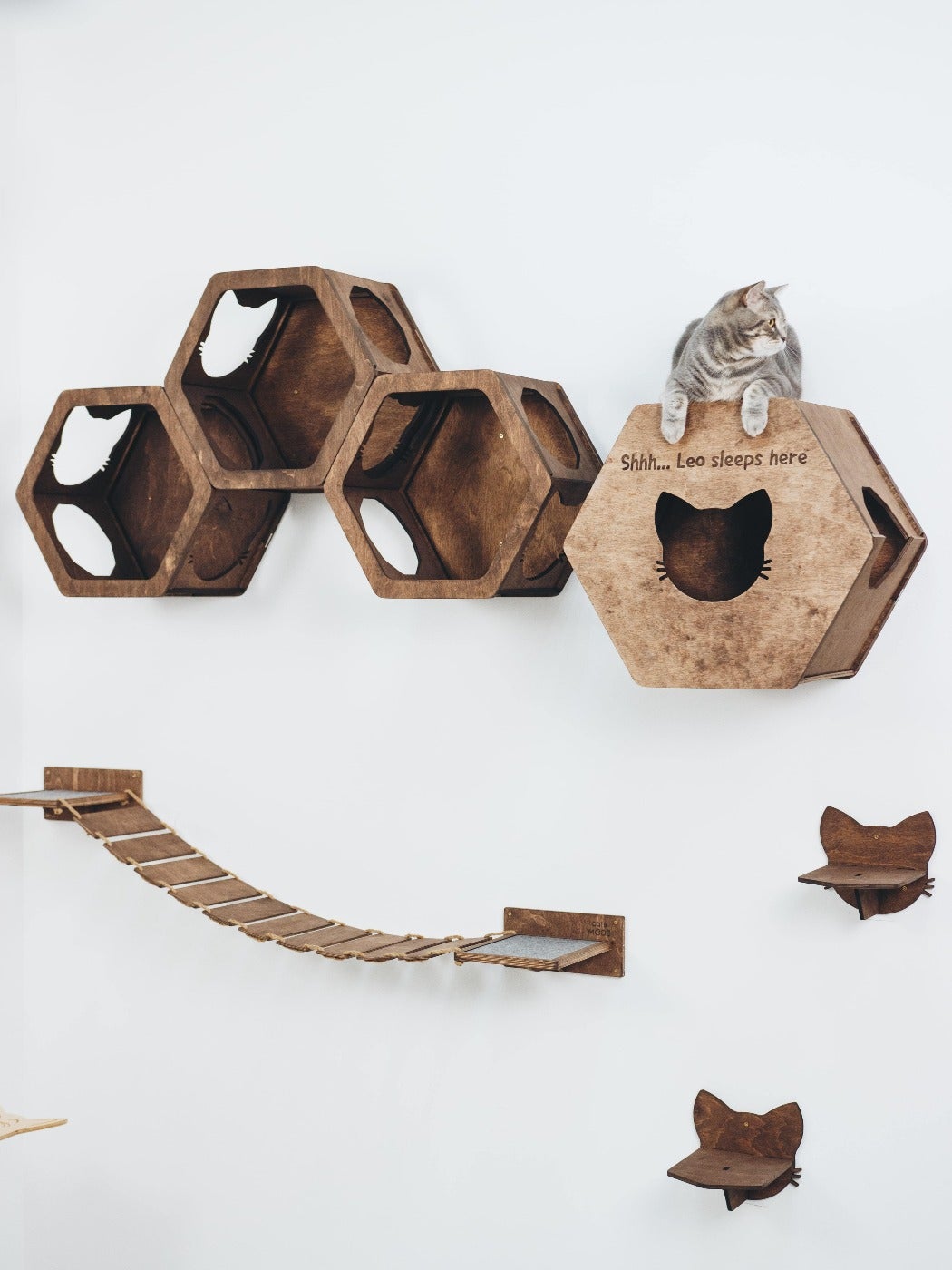 Cat Wall Bridge Furniture Set