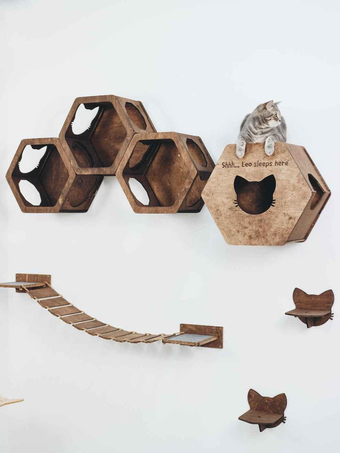 Cat Wall Bridge Furniture Set