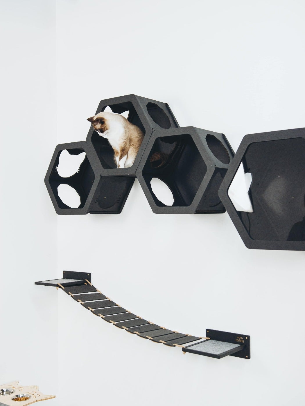 Cat Wall Bridge Furniture Set
