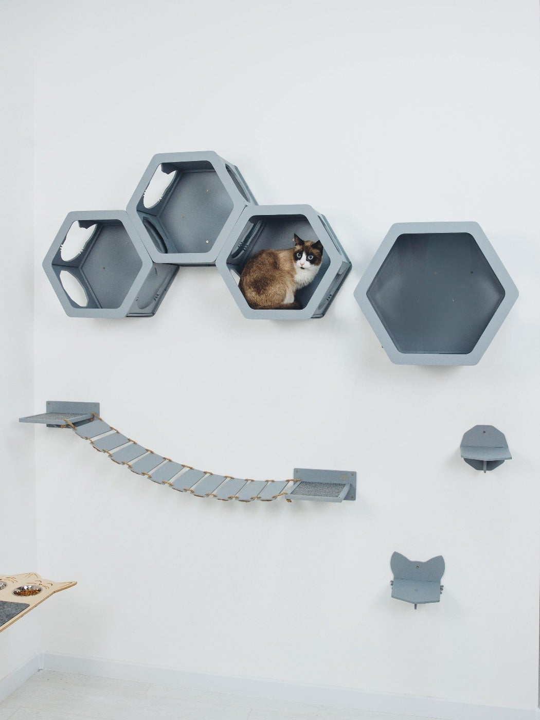 Cat Wall Bridge Furniture Set