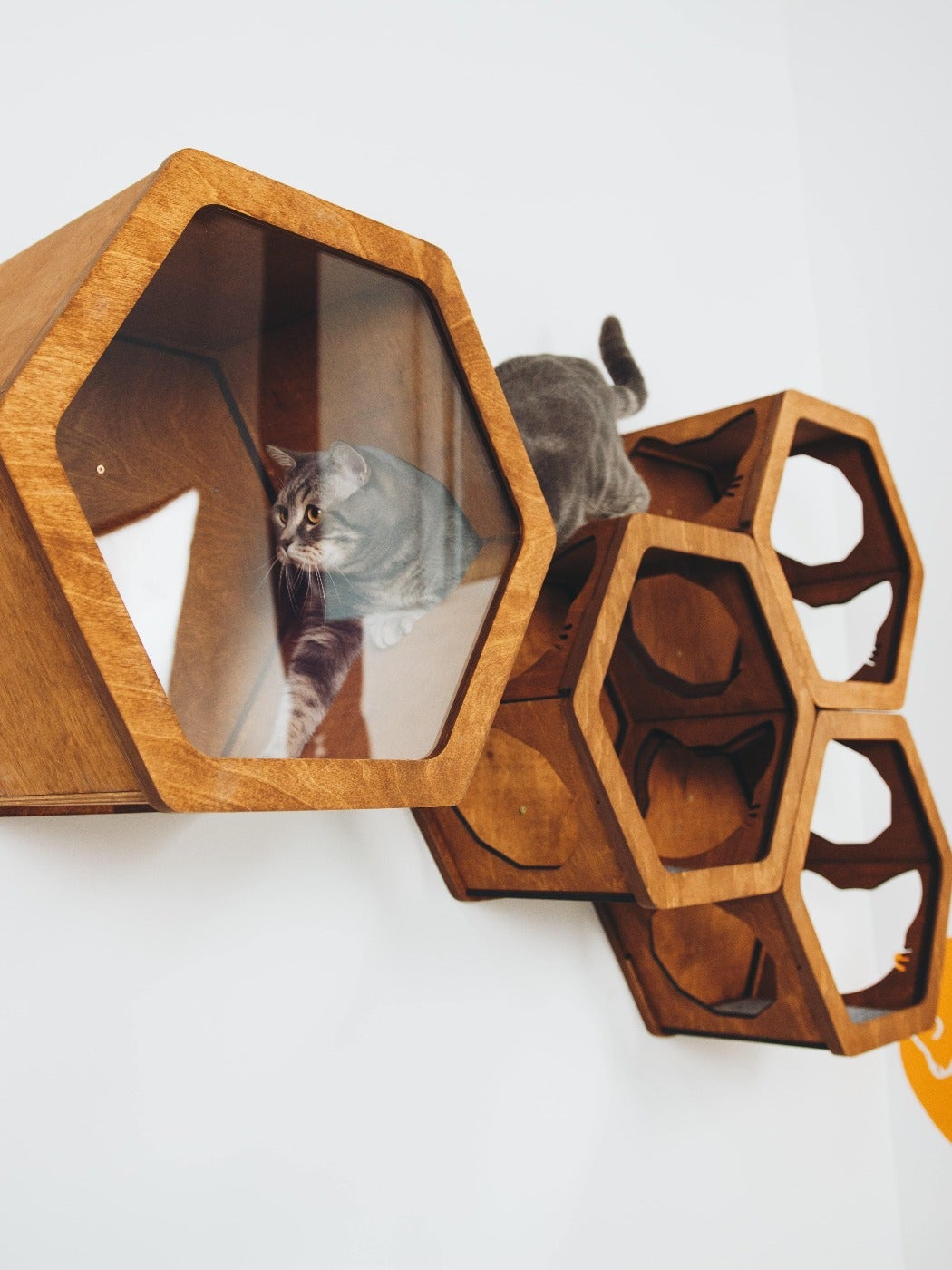 Cat Wall Bridge Furniture Set
