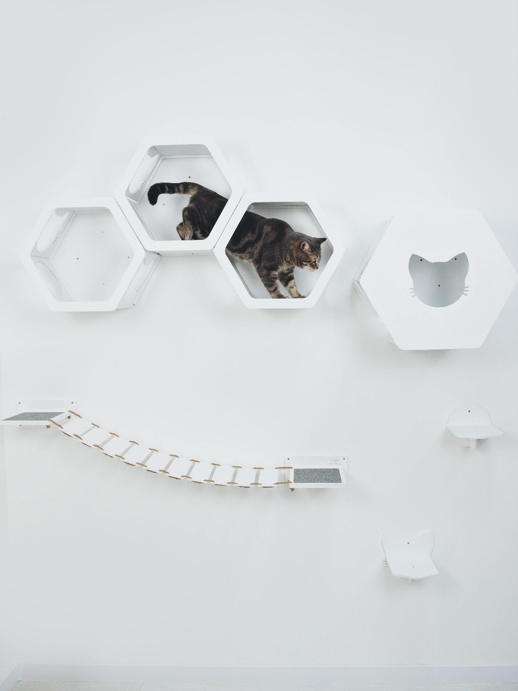 Cat Wall Bridge Furniture Set