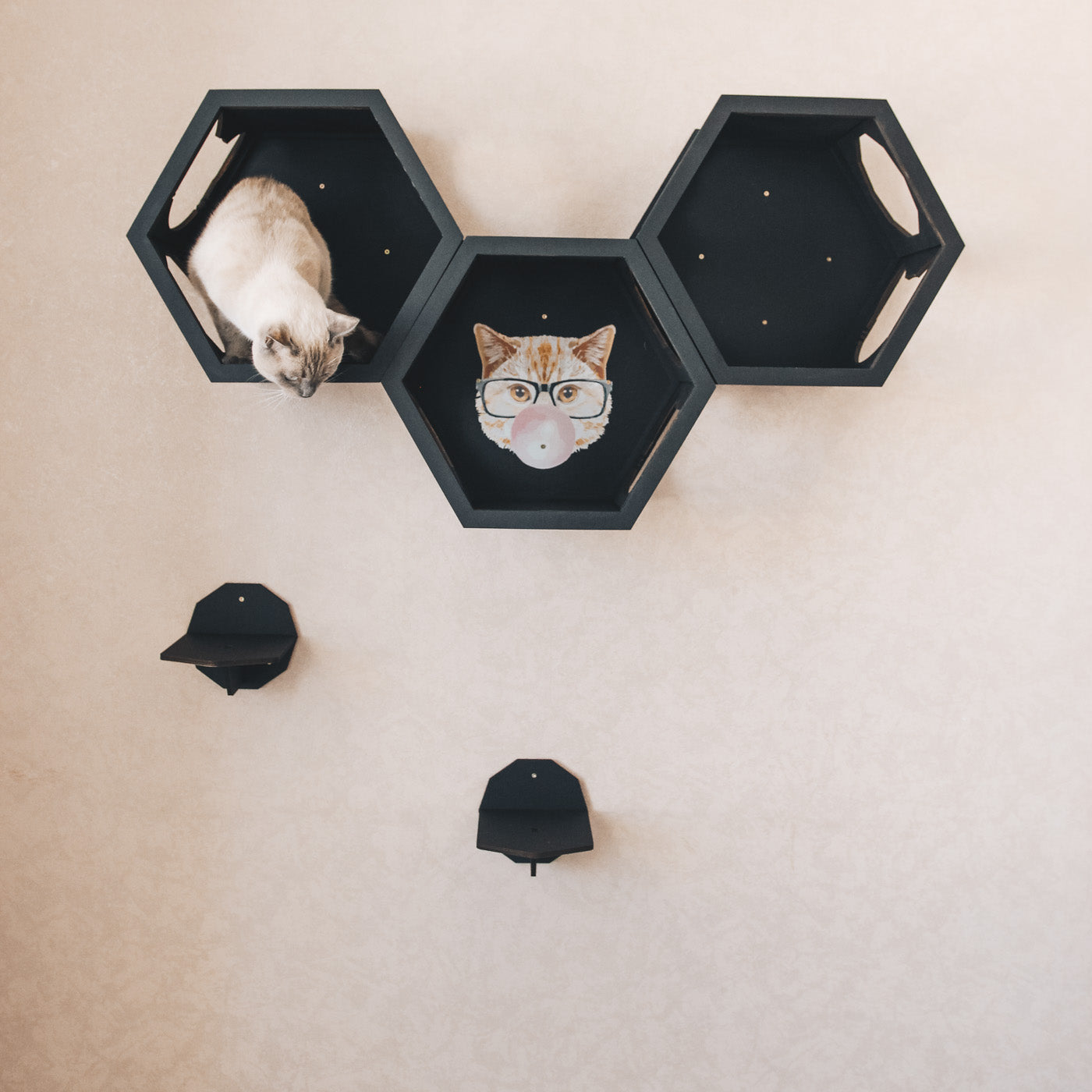Black Cat Wall Furniture Set